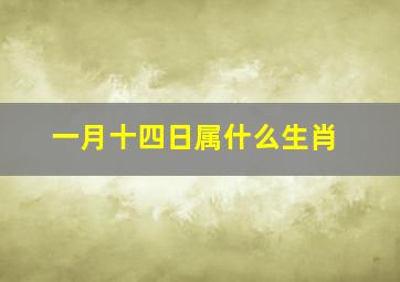 一月十四日属什么生肖