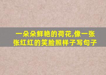 一朵朵鲜艳的荷花,像一张张红红的笑脸照样子写句子