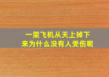 一架飞机从天上掉下来为什么没有人受伤呢