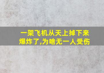 一架飞机从天上掉下来爆炸了,为啥无一人受伤