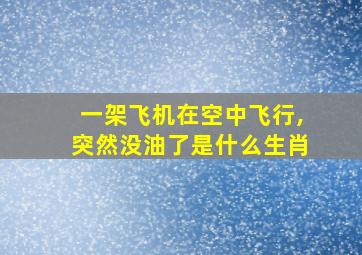 一架飞机在空中飞行,突然没油了是什么生肖