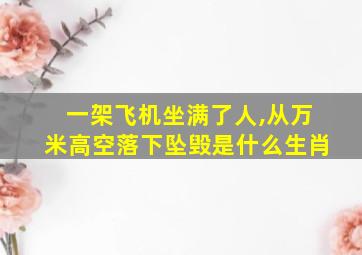 一架飞机坐满了人,从万米高空落下坠毁是什么生肖