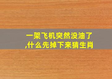 一架飞机突然没油了,什么先掉下来猜生肖