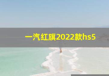 一汽红旗2022款hs5