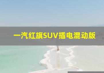 一汽红旗SUV插电混动版