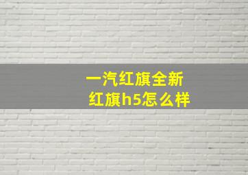 一汽红旗全新红旗h5怎么样