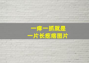 一痒一抓就是一片长疙瘩图片