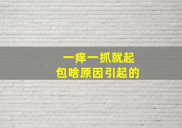 一痒一抓就起包啥原因引起的