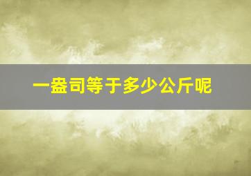 一盎司等于多少公斤呢