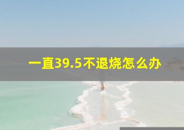 一直39.5不退烧怎么办