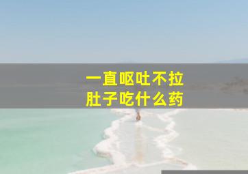 一直呕吐不拉肚子吃什么药