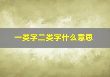 一类字二类字什么意思