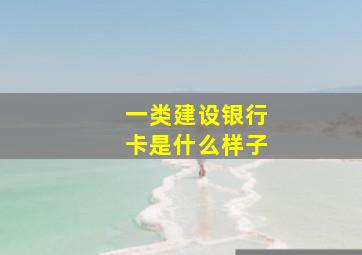 一类建设银行卡是什么样子