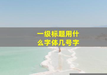 一级标题用什么字体几号字