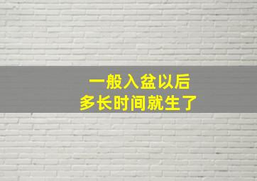 一般入盆以后多长时间就生了