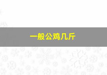 一般公鸡几斤