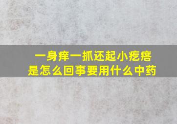 一身痒一抓还起小疙瘩是怎么回事要用什么中药