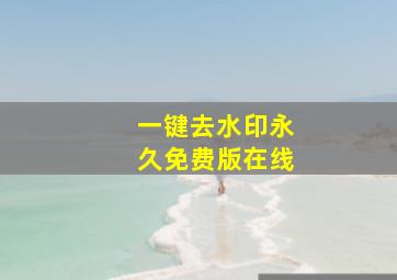 一键去水印永久免费版在线