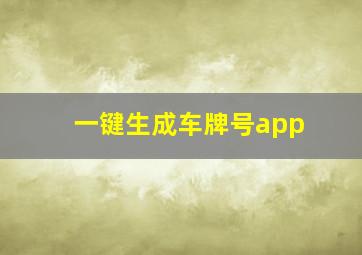 一键生成车牌号app