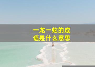 一龙一蛇的成语是什么意思