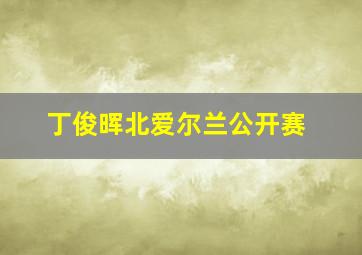 丁俊晖北爱尔兰公开赛