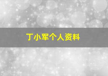 丁小军个人资料