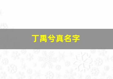 丁禹兮真名字