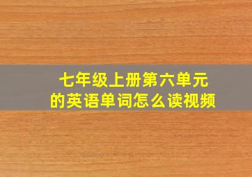 七年级上册第六单元的英语单词怎么读视频