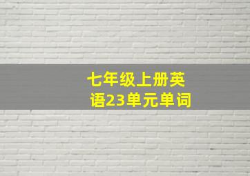 七年级上册英语23单元单词