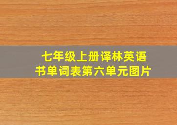 七年级上册译林英语书单词表第六单元图片