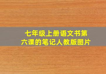 七年级上册语文书第六课的笔记人教版图片