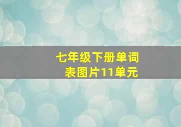 七年级下册单词表图片11单元