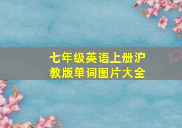 七年级英语上册沪教版单词图片大全