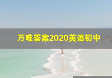 万唯答案2020英语初中