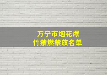 万宁市烟花爆竹禁燃禁放名单