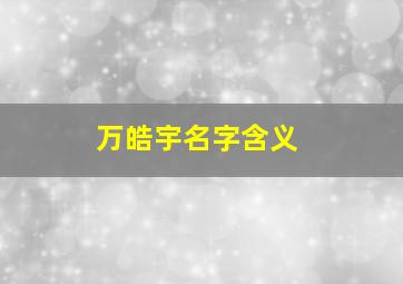 万皓宇名字含义