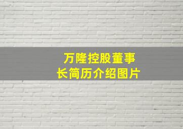 万隆控股董事长简历介绍图片