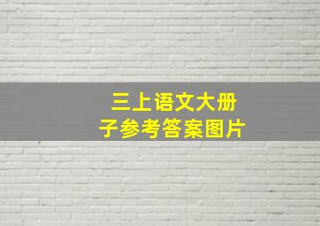 三上语文大册子参考答案图片