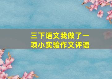 三下语文我做了一项小实验作文评语