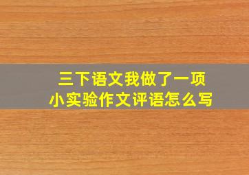 三下语文我做了一项小实验作文评语怎么写