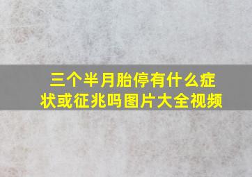 三个半月胎停有什么症状或征兆吗图片大全视频