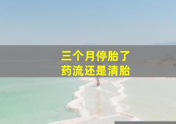 三个月停胎了药流还是清胎