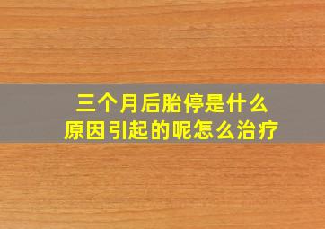 三个月后胎停是什么原因引起的呢怎么治疗