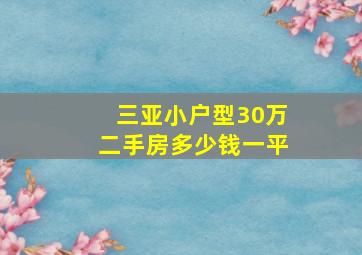 三亚小户型30万二手房多少钱一平