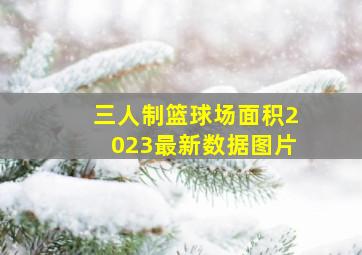 三人制篮球场面积2023最新数据图片