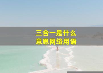 三合一是什么意思网络用语