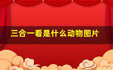 三合一看是什么动物图片