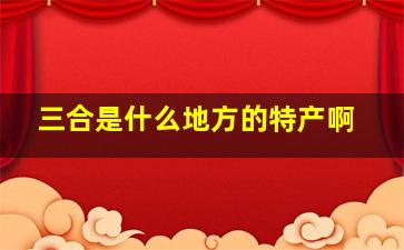 三合是什么地方的特产啊