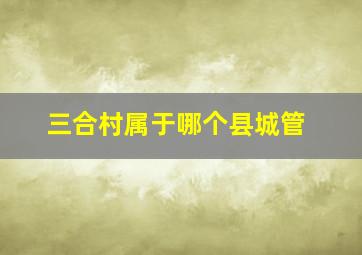 三合村属于哪个县城管