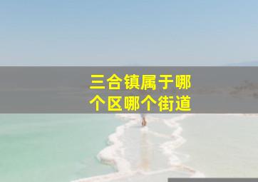 三合镇属于哪个区哪个街道